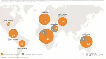 2. 税务管理体系的建立