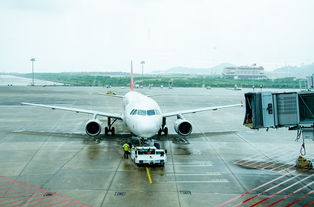 一、 货物包装的重要性