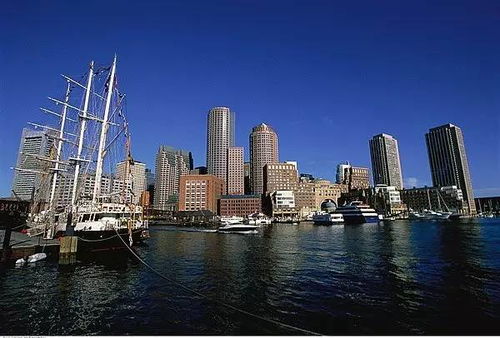 一、 卡派群体的特点