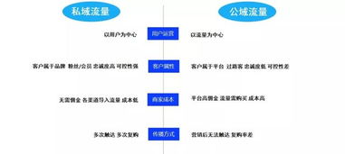独立站与私域流量的崛起：企业流量池构建的重要策略