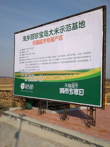 村淘物流配送范围解析