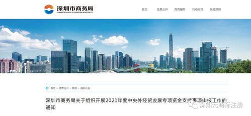 一、 研究目标市场税收政策