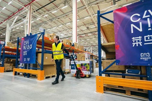 二、 提升运输效率的五大操作要点