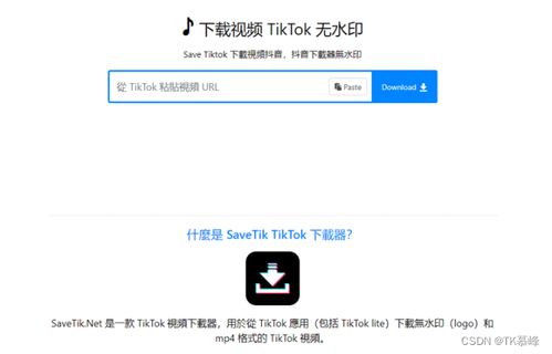 四、 在线视频下载器下载方法