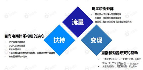 四、 抖音带货盈利模式分析