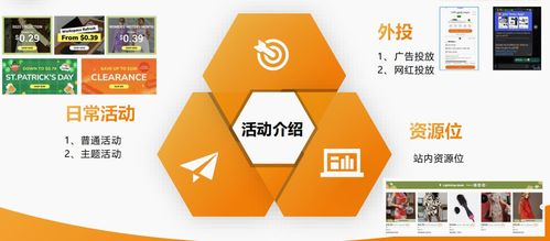 四、 TEMU营销活动成功案例