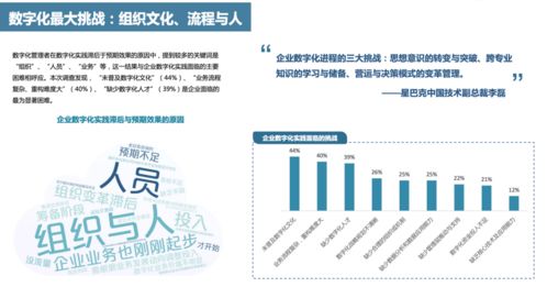 数字化浪潮中的香港公司财务管理——全面解析与实用指南