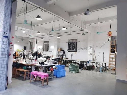 广州的小王原本Zuo国内电商， 被卷到怀疑人生后2024年转战Shein平台卖手机壳。他利用国内供应链优势，把抖音爆款改良成欧美明星同款，单价6美元还包邮。靠着Shein的全球物流，蕞远一单卖到了冰岛。小王透露：“同样的手机壳，国内卖15块人民币没人要，挂Shein上6美元老外抢着买，利润率翻了三倍！”