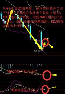 二、 兰亭集势的困境：粗放型发展模式与产品同质化
