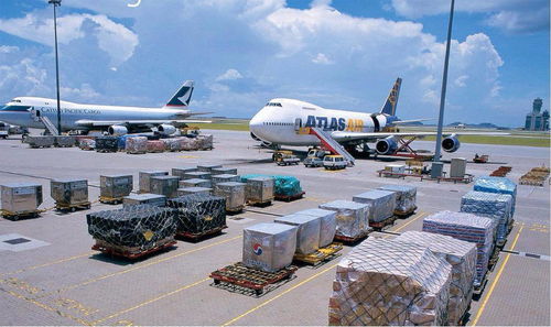 2. 海运、 空运、陆运服务