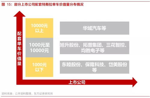 综合分析：数字背后的深层含义