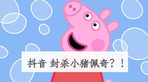 1. 选择正规账号