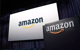 准备申请材料：如何在欧洲使用亚马逊美国商标？