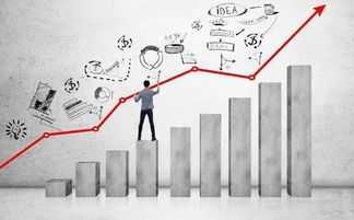 三、 ozon跨境店的运营策略