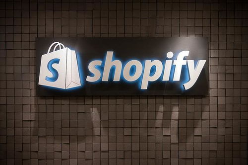一、 Shopify支付方式的多元化