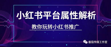二、 蒲公英平台报价解析