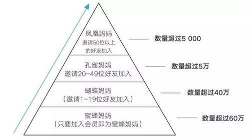 一、速卖通高级卖家是第几层级？