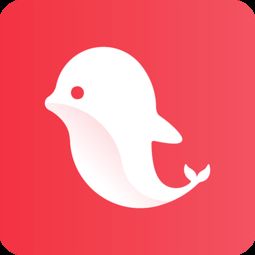 跨境电商支付平安策略