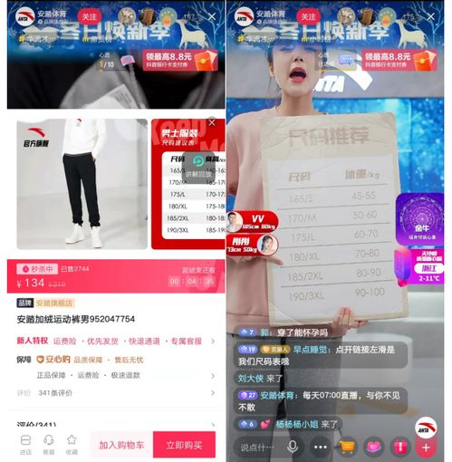 一、 抖音官方旗舰店直播概述