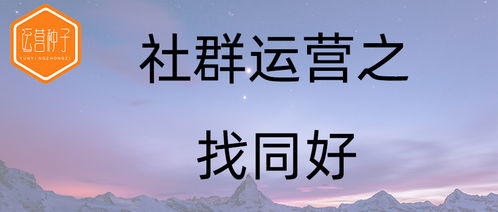 构建共同认可的价值观