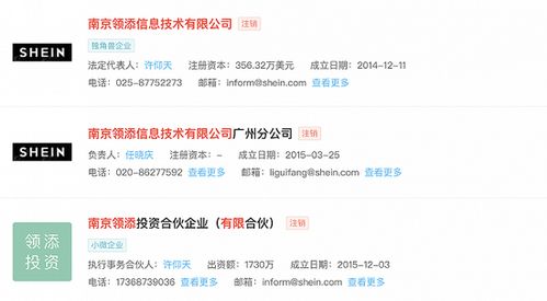 二、社交媒体在Shein成功中的作用