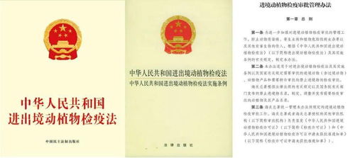 （一）检验检疫名称选择