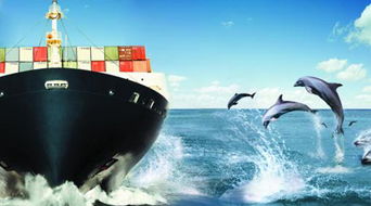 一、 综合对比：FedEx、UPS、USPS、DHL四大主流服务商