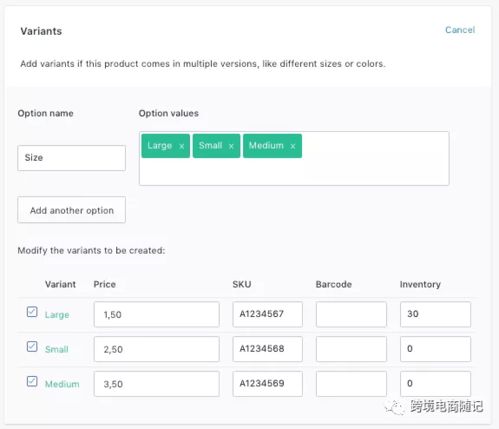 一、 Shopify产品主图视频上传概述