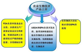 三、 非整数定价策略