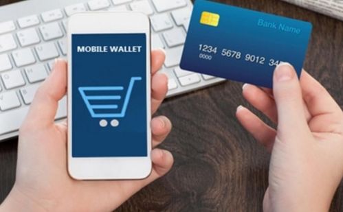 三、 新西兰元支付的现状