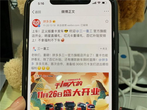 二、 拼多多开设旗舰店的要求