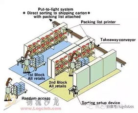四、 边拣边分（“摘果”式）