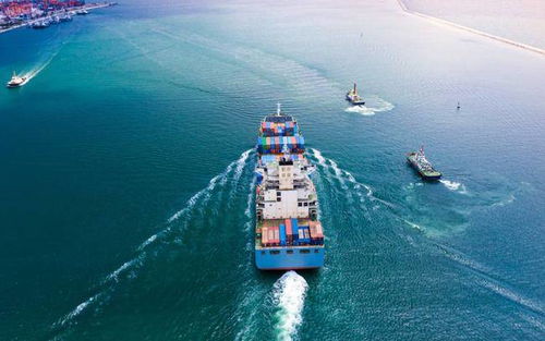 直航优势：连接深圳盐田港与美国东海岸重要枢纽港
