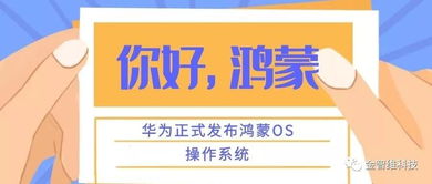 重视多入口的模拟