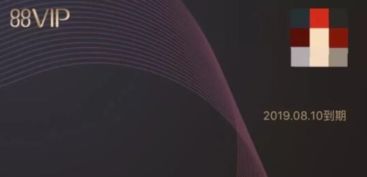 二、 88VIP会员性价比分析