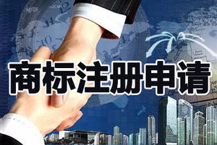 初步形式审查与实质审查