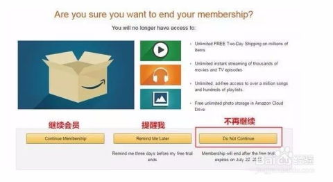 Prime会员费用与增值服务