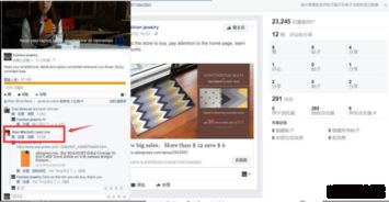 六、 网红任务与站内推广渠道的运用