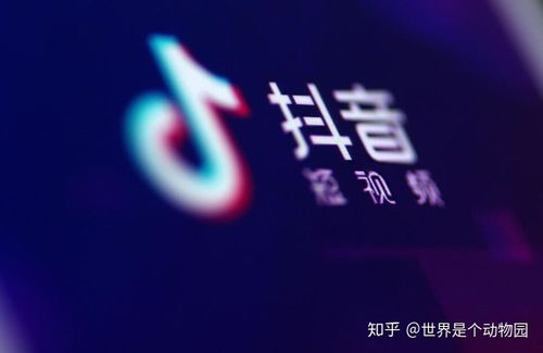 从0到1， 探店号的快速起量之道