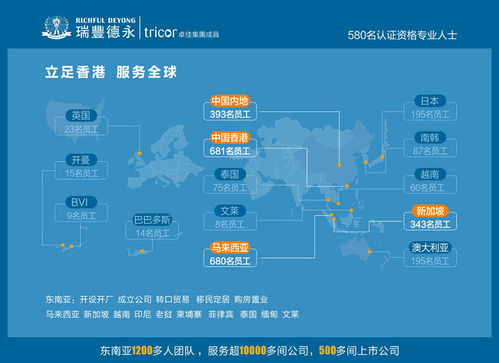 报税流程及步骤