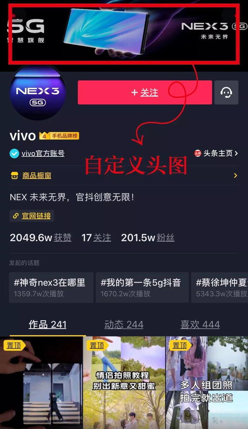 蓝V认证的有效性：身份与权威性的保障