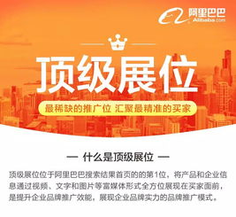 顶级展位投放策略详解