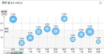 2. 推广策略与预算管理
