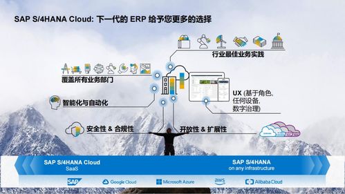 技术和解决方案输出，拓展geng多本地市场