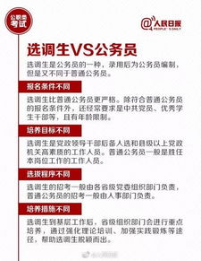公司类型的选择：适应实际运营需求