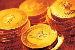 淘金币的作用与价值