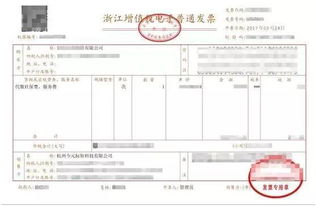 零税率和免税政策