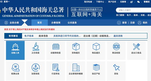 4. 海关审核与查验