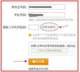 步骤五：输入信用卡信息