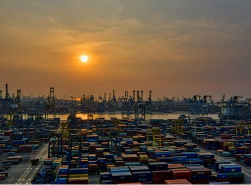 运输量剧增与运输成本上升